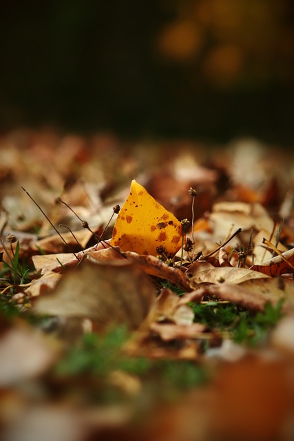 这一系列势 这一系列势