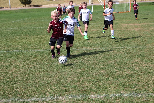 坚固的后防 坚固的后防