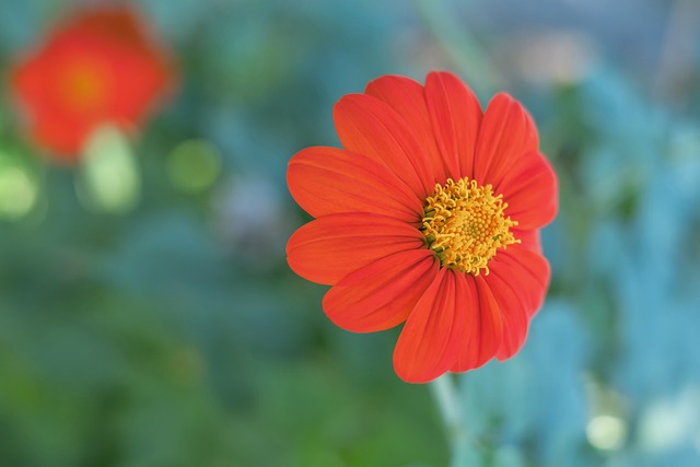 无论结果如 无论结果如