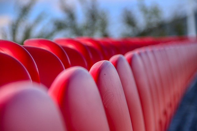 教生涯中 教生涯中