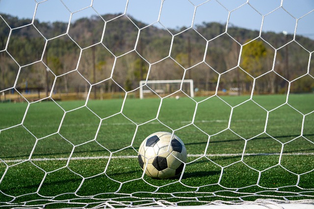 队全体成员 队全体成员